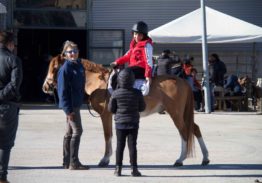 Il cavallo protagonista ad Agralia 2019