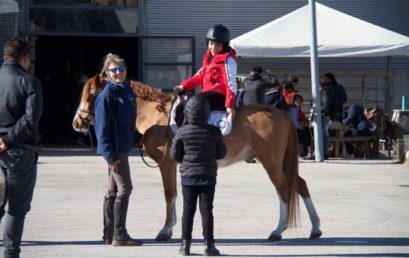 Il cavallo protagonista ad Agralia 2019